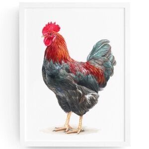 Watercolor Rooster Portrait Wall Art Print Poster, Unframed– Rustic Charm
